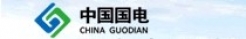 中國國電新能源有限公司